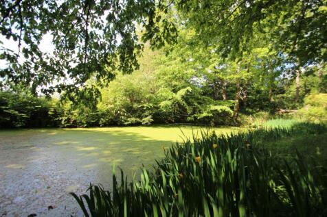 Pond
