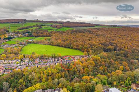 DJI_20251110114915_0926_D copy.jpg