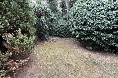 OWN REAR GARDEN