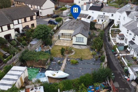 aerial shot conifers.png