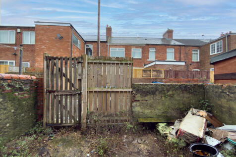 IMG 1641 T202602162026.jpg