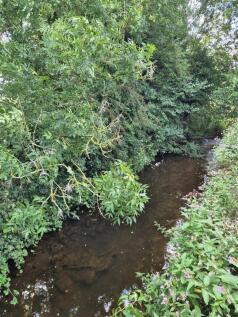 20250808_110644 2.jpg