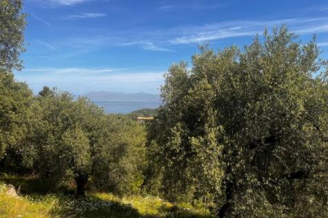 Land and view