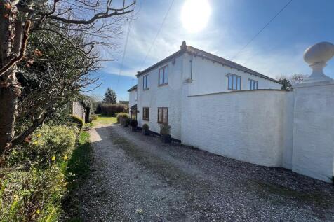 other angle rose ...