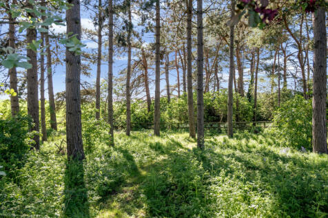 Property Image 36