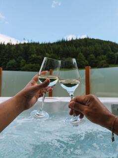 Wine Glasses Raised Beside The Lodge's Private Hot