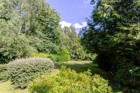 Garden 1