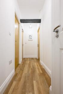 20250905 23ERidley P