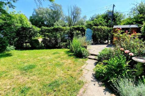 garden 3.jpg