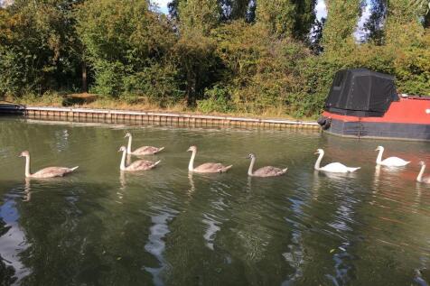 WhatsApp Image 2023-11-11 at 15.45.45.jpeg