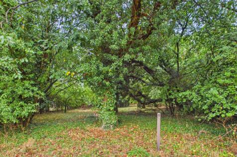 Orchard