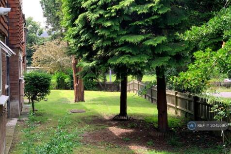 Back Garden