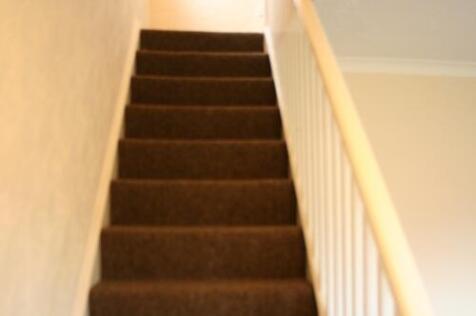 Salters Close, Gosforth, Newcastle Upon Tyne, NE3 photo 5