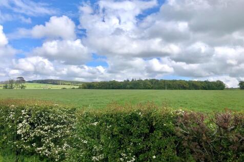 Views Nearby