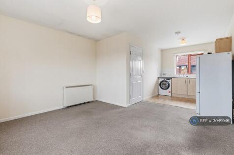 Kitchen / Living Area