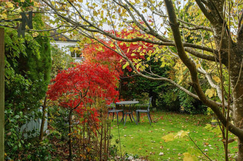 1374033-8-69036f6...