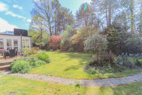 Garden (2)