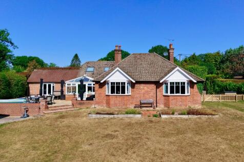 Back Garden