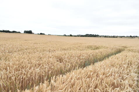 Farm Land for sale Image 4