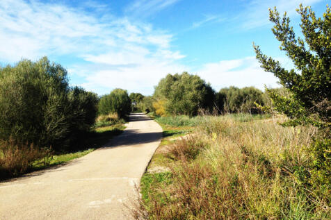 A well built road leads to the plots in Muro
