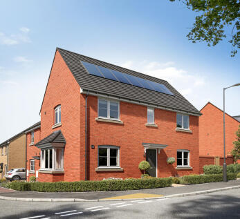 Sunflower - Plot 186