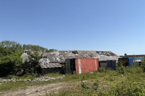 IMG_4441.JPG