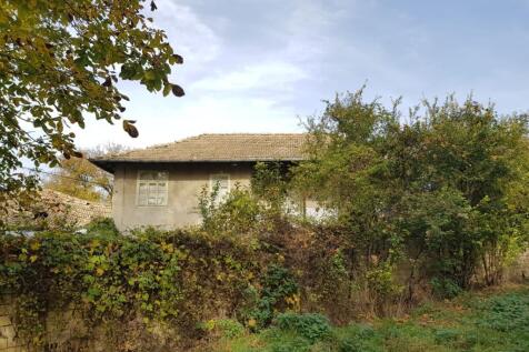 Side view of the house surrounded by trees and bushes, showing windows and part of the roof