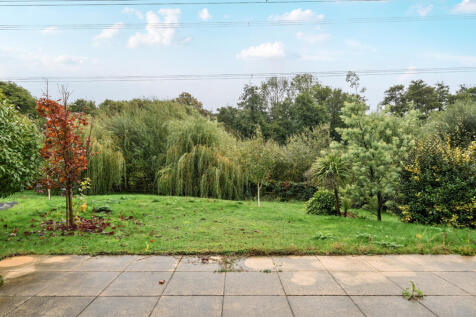 1371396-7-68f5f9b...