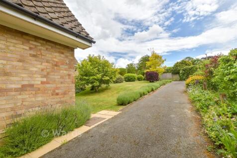 Driveway/Parking
