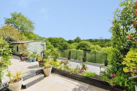 Back Garden
