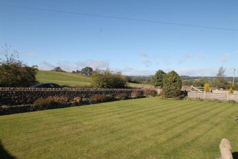 new front garden.JPG