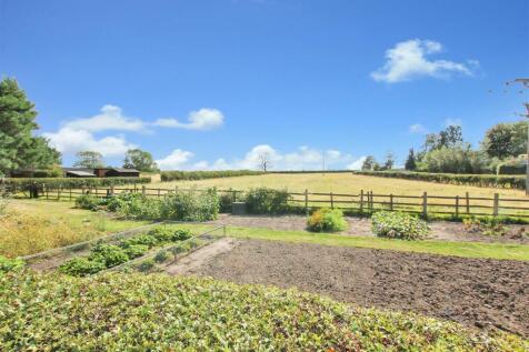 Veg Plot - c.JPG