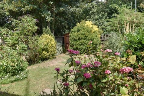 Rear garden from patio