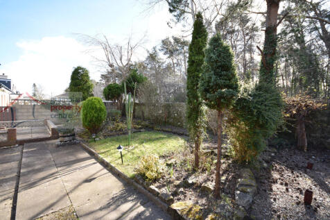 garden 3.JPG