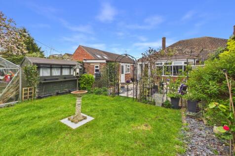 Back Garden