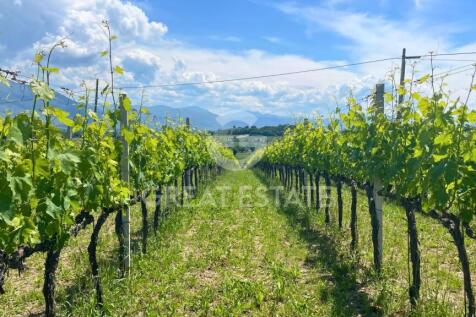 Panorama e Particolari