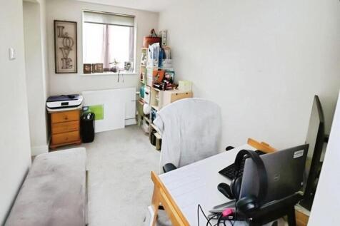 93 Kestrel study.jpeg