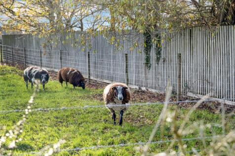 Property Image 30