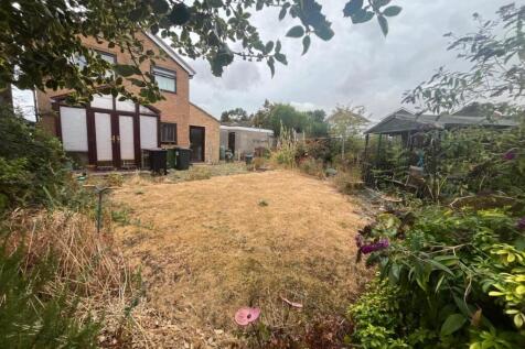 40 cordon garden 2.jpg