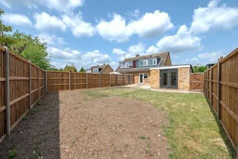 Back garden