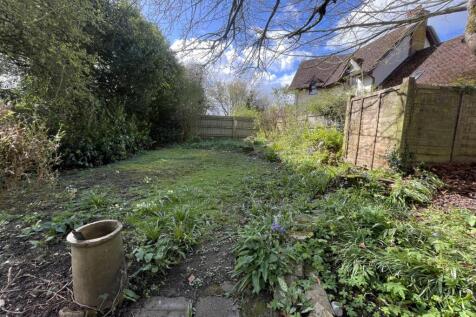 garden.jpg