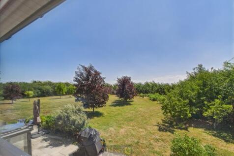 CAM02786G0-PR0151-STILL042