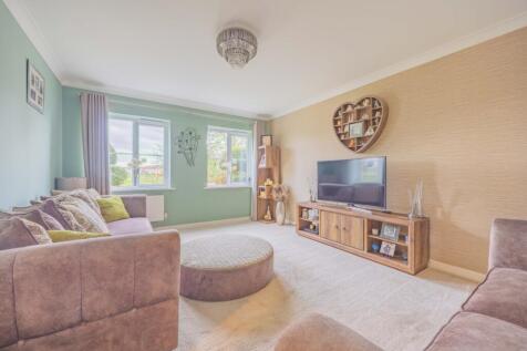 EwemoveTaunton Halletts Road (14)