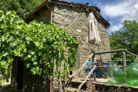 Property Image 41