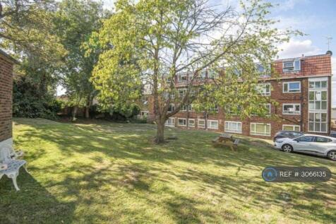 Communal Garden