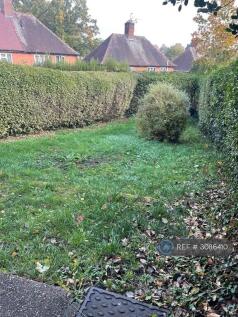 Back Garden