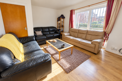 Sunlit Leather Sofa Living Room