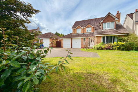 Property Image 37
