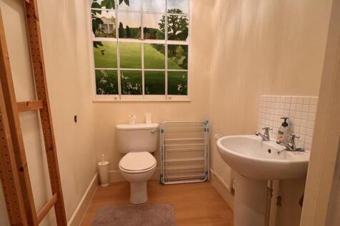 IMG_3537.jpeg