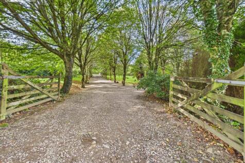 driveway (4).jpg